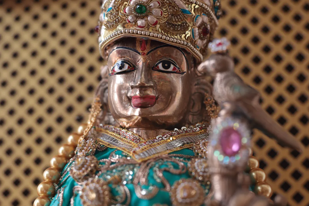 LOTUS DEITY DONATION PROGRAM