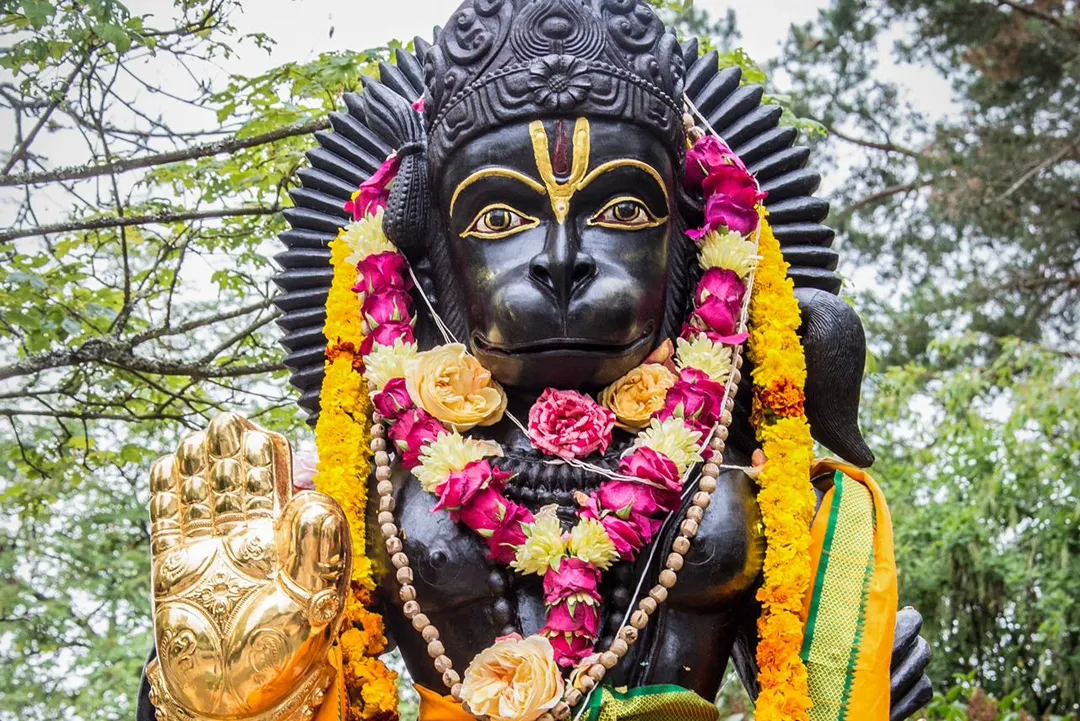 LOTUS DEITY DONATION PROGRAM
