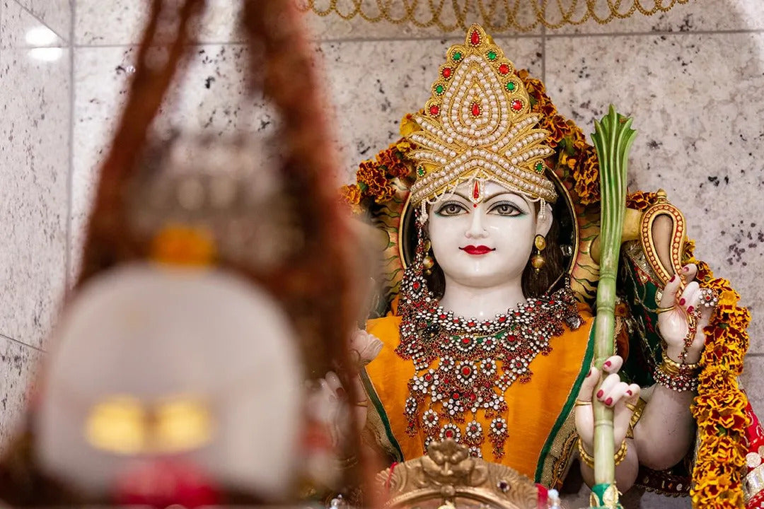 LOTUS DEITY DONATION PROGRAM