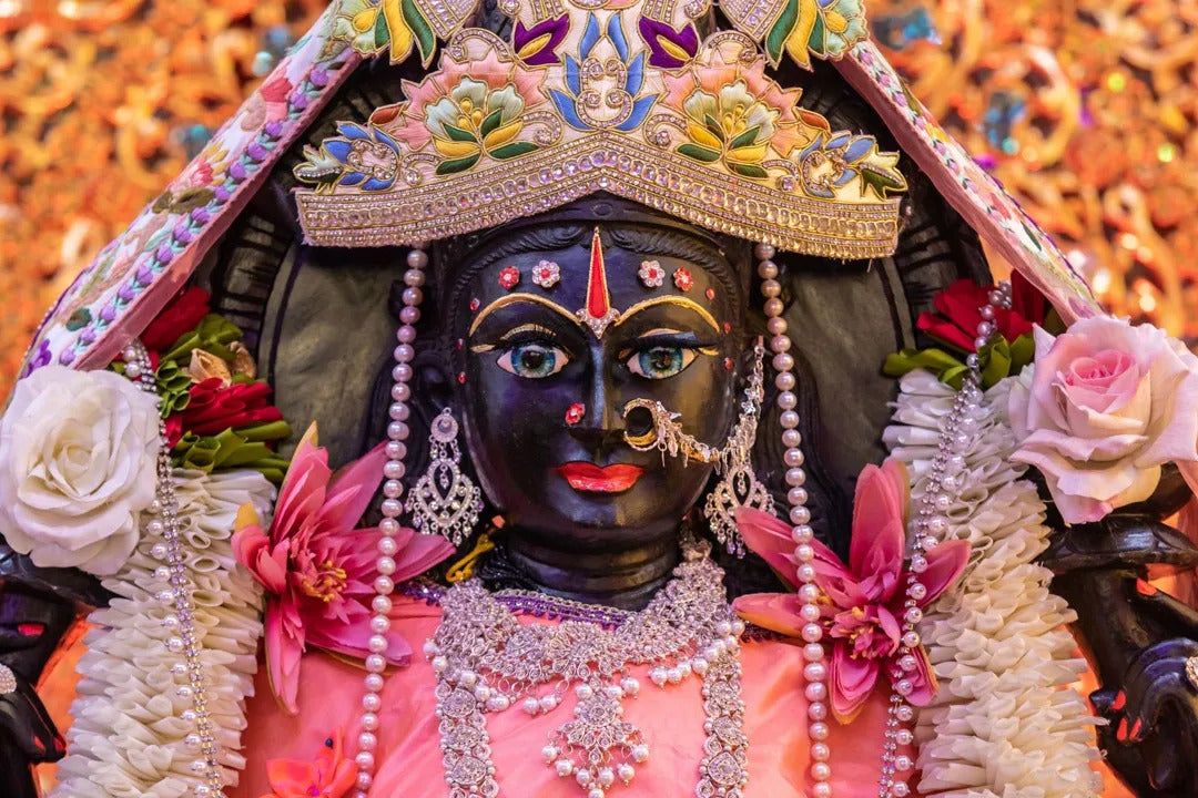 LOTUS DEITY DONATION PROGRAM