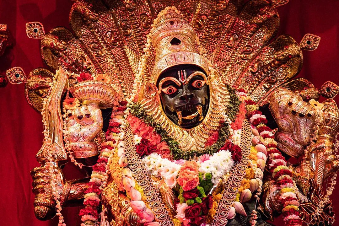 LOTUS DEITY DONATION PROGRAM