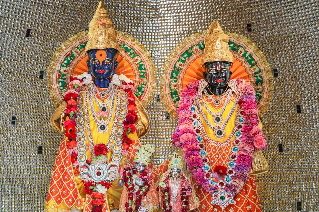 LOTUS DEITY DONATION PROGRAM