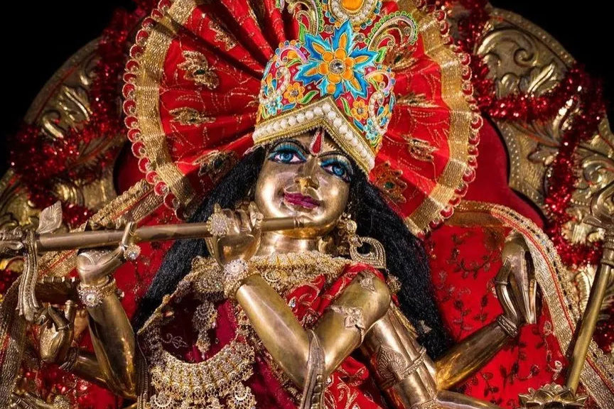 LOTUS DEITY DONATION PROGRAM