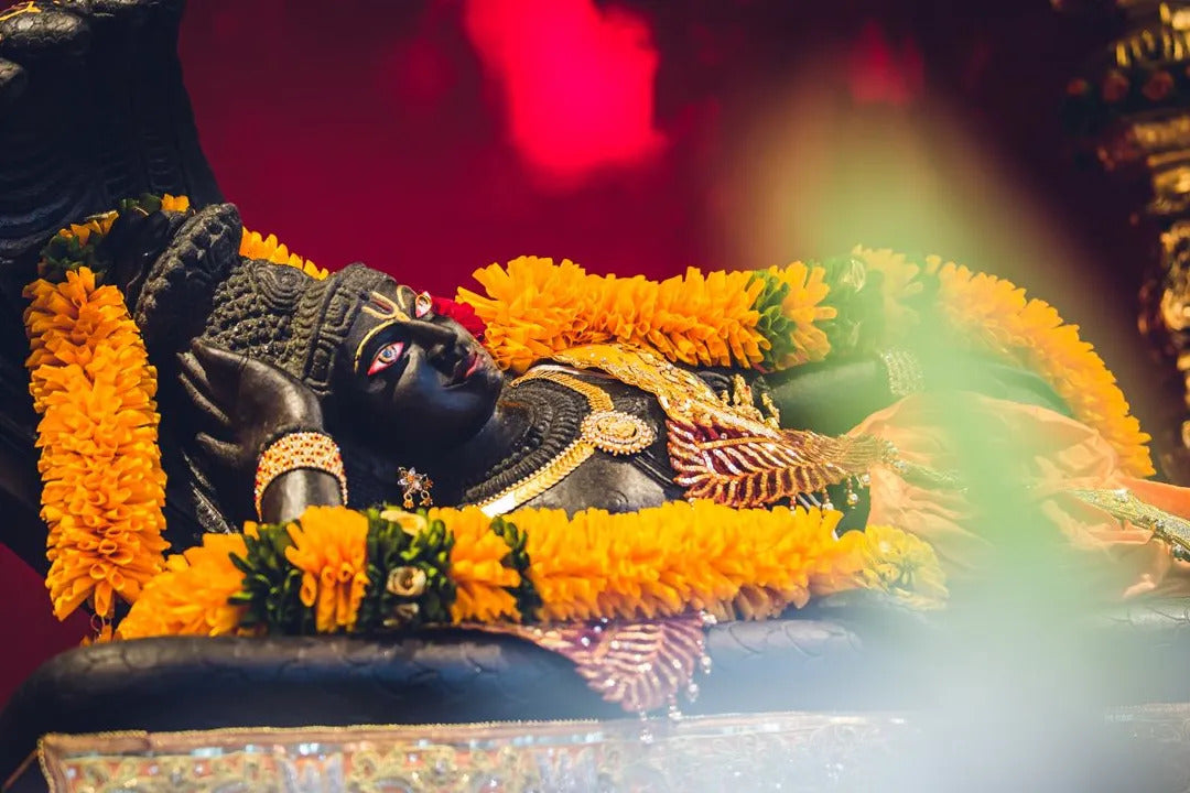 LOTUS DEITY DONATION PROGRAM